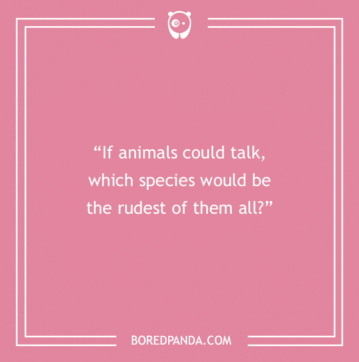 The Most Stupid Questions to Make You Laugh and Think The Most Stupid Questions to Make You Laugh and Think