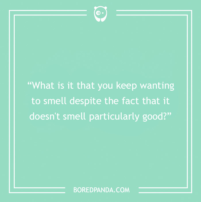 The Most Stupid Questions to Make You Laugh and Think The Most Stupid Questions to Make You Laugh and Think