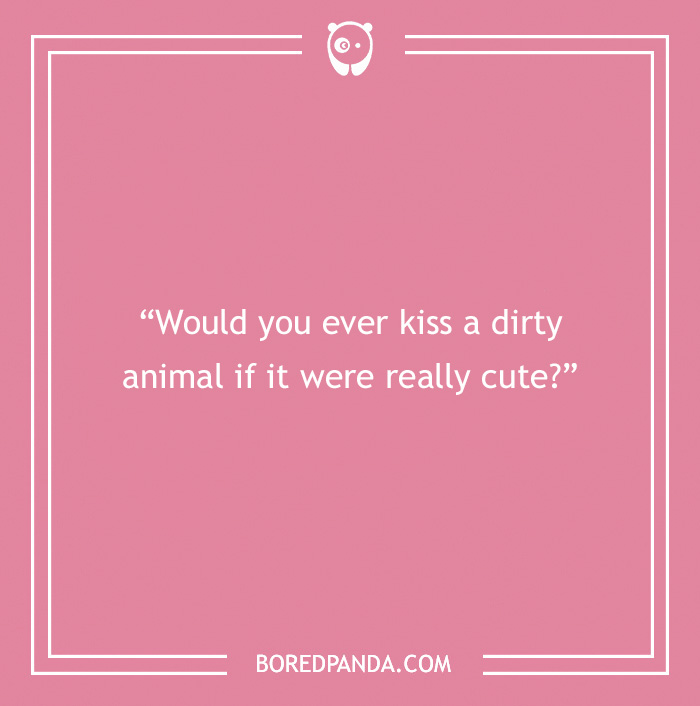 The Most Stupid Questions to Make You Laugh and Think The Most Stupid Questions to Make You Laugh and Think