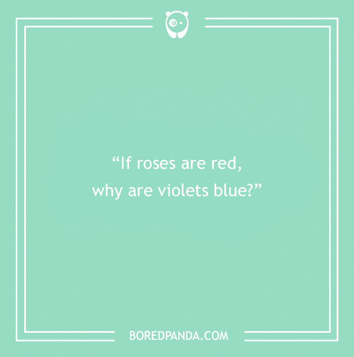 The Most Stupid Questions to Make You Laugh and Think The Most Stupid Questions to Make You Laugh and Think