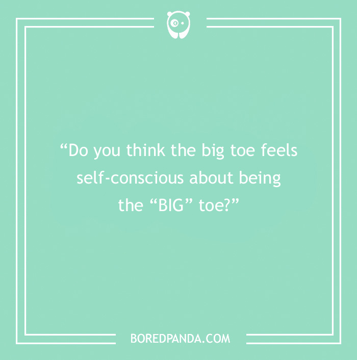 The Most Stupid Questions to Make You Laugh and Think The Most Stupid Questions to Make You Laugh and Think