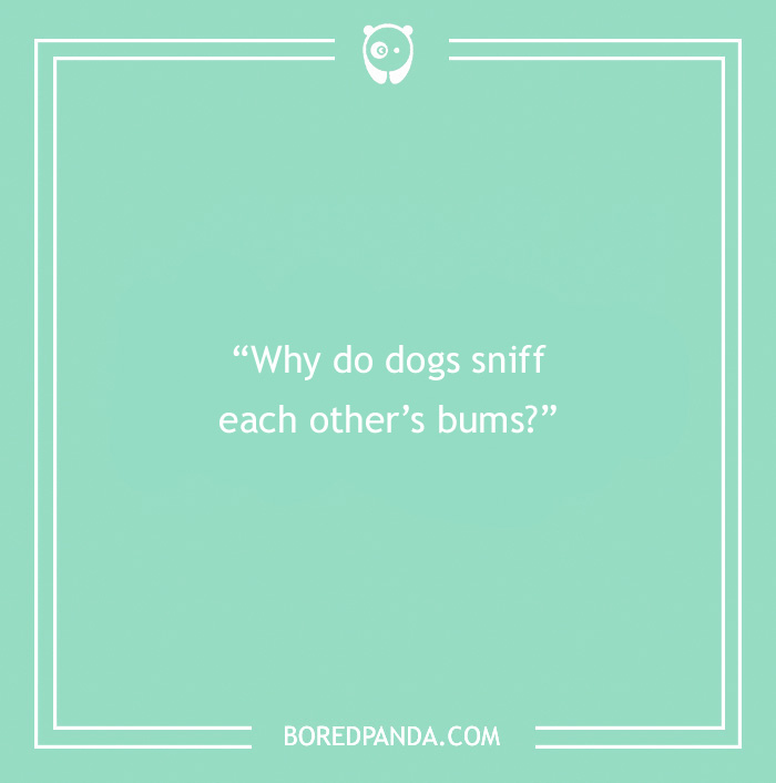 The Most Stupid Questions to Make You Laugh and Think The Most Stupid Questions to Make You Laugh and Think