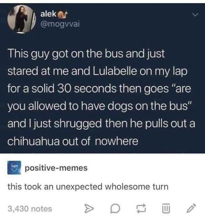 “Blessed Comments” Share 50 Examples Of A Comment Making The Post Better “Blessed Comments” Share 50 Examples Of A Comment Making The Post Better