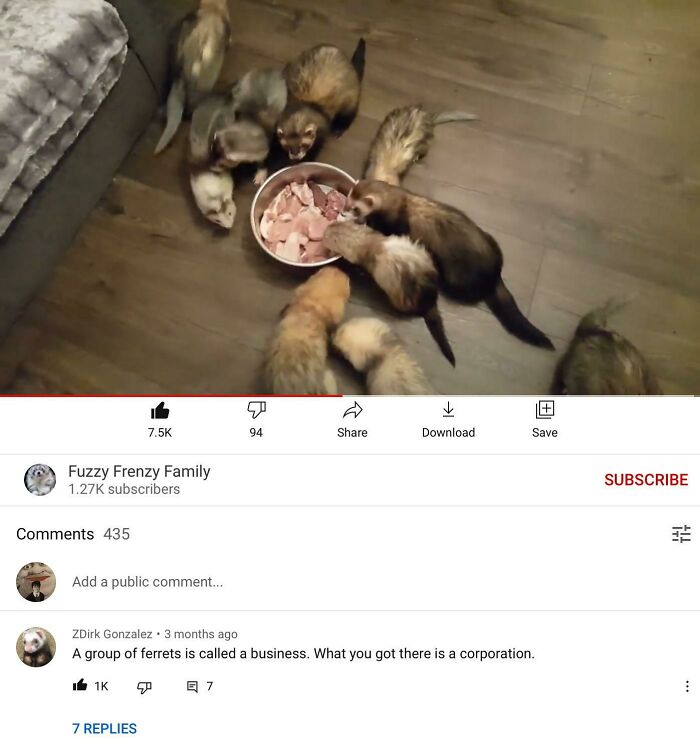 “Blessed Comments” Share 50 Examples Of A Comment Making The Post Better “Blessed Comments” Share 50 Examples Of A Comment Making The Post Better