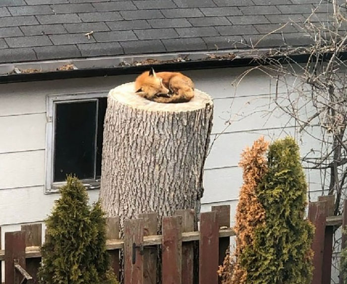 40 Funny Memes To Perfectly Sum Up IT Humor, As Shared By This Facebook Group 40 Funny Memes To Perfectly Sum Up IT Humor, As Shared By This Facebook Group