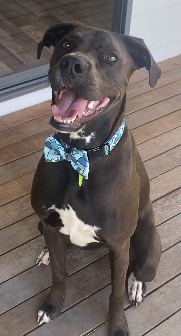 Hey Pandas, What’s Your Most Recent Photo That You Took With Your Phone? (Closed) Hey Pandas, What’s Your Most Recent Photo That You Took With Your Phone? (Closed)