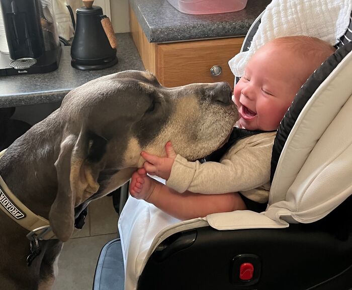 Hey Pandas, What’s Your Most Recent Photo That You Took With Your Phone? (Closed) Hey Pandas, What’s Your Most Recent Photo That You Took With Your Phone? (Closed)