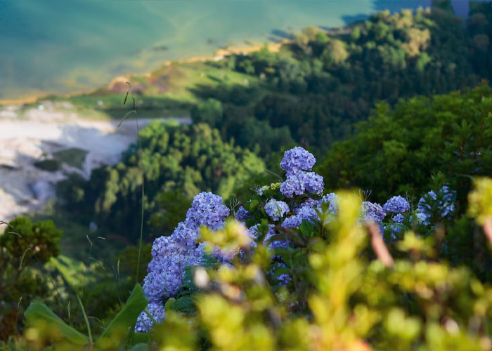 30 Things The US Does Better Than Most Countries 30 Things The US Does Better Than Most Countries