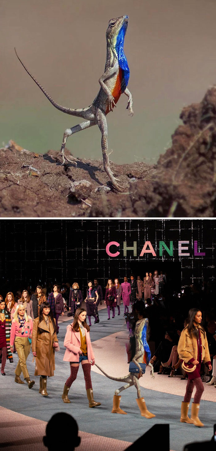 50 Times Winners Of The Greatest Photoshop Battles Made The Internet A Funnier Place (New Pics)