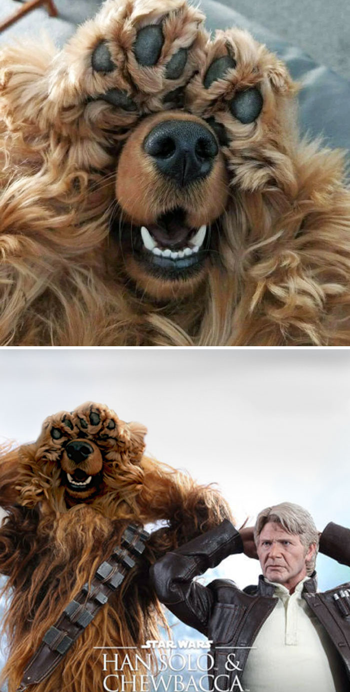 50 Times Winners Of The Greatest Photoshop Battles Made The Internet A Funnier Place (New Pics)