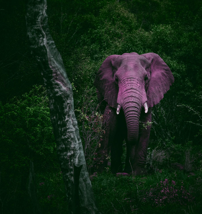 30 Incredibly Useful Things People Heard While In Therapy 30 Incredibly Useful Things People Heard While In Therapy