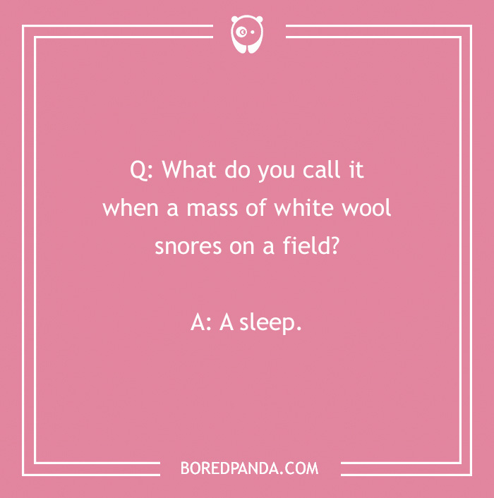 Sleep Jokes To Help You Sleep Well At Night Sleep Jokes To Help You Sleep Well At Night