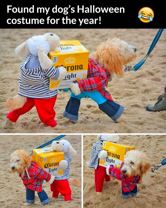 “Take My Money!”: 50 Wacky Products You Didn’t Know You Needed, As Shared By The “Odditymall” Facebook Page (New Pics) “Take My Money!”: 50 Wacky Products You Didn’t Know You Needed, As Shared By The “Odditymall” Facebook Page (New Pics)