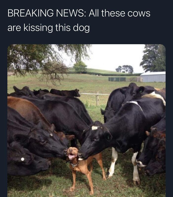 &#8220;The Best And Worst Of Twitter&#8221;: 50 Of The Most Surprising Takes On Pretty Much Everything (New Pics)