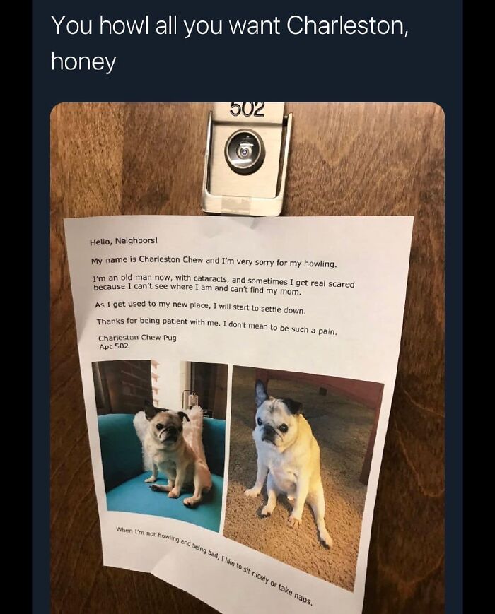 &#8220;The Best And Worst Of Twitter&#8221;: 50 Of The Most Surprising Takes On Pretty Much Everything (New Pics)