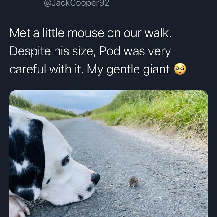 &#8220;The Best And Worst Of Twitter&#8221;: 50 Of The Most Surprising Takes On Pretty Much Everything (New Pics)