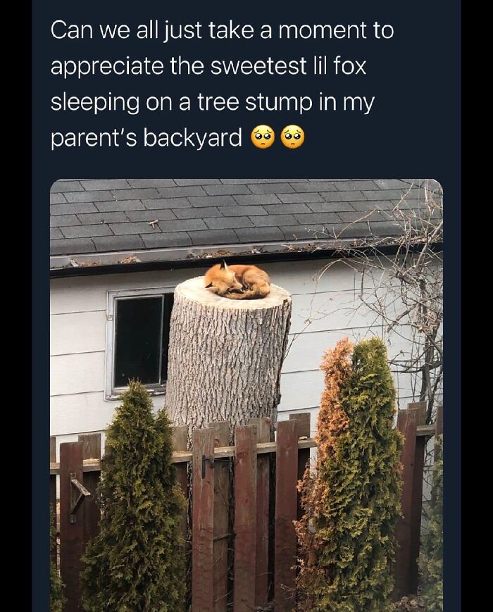 &#8220;The Best And Worst Of Twitter&#8221;: 50 Of The Most Surprising Takes On Pretty Much Everything (New Pics)