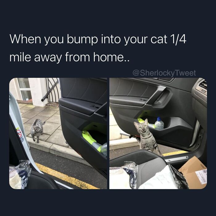 &#8220;The Best And Worst Of Twitter&#8221;: 50 Of The Most Surprising Takes On Pretty Much Everything (New Pics)