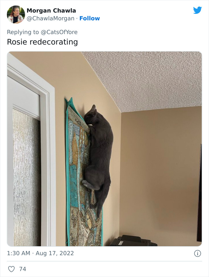 Cats Ruining Stuff Isn’t Only A Modern Struggle As It Is Shown In These 24 Pics Through History, Shared By Folks Online Cats Ruining Stuff Isn’t Only A Modern Struggle As It Is Shown In These 24 Pics Through History, Shared By Folks Online