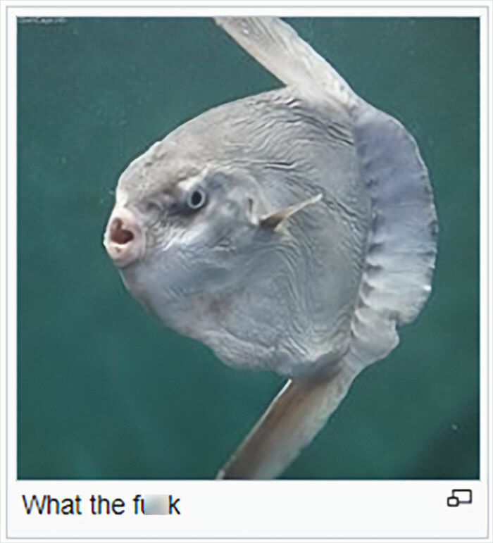 Folks Online Are Chuckling At These 30 Ridiculous “Edits” Of Wikipedia Pages As Shared By This Dedicated Twitter Page Folks Online Are Chuckling At These 30 Ridiculous “Edits” Of Wikipedia Pages As Shared By This Dedicated Twitter Page