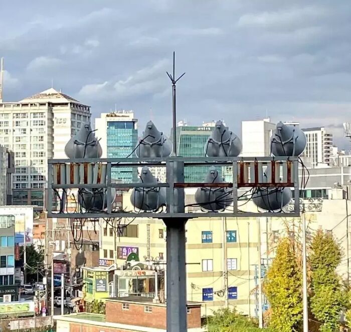 50 Accidental Optical Illusions People Captured On Their Cameras 50 Accidental Optical Illusions People Captured On Their Cameras