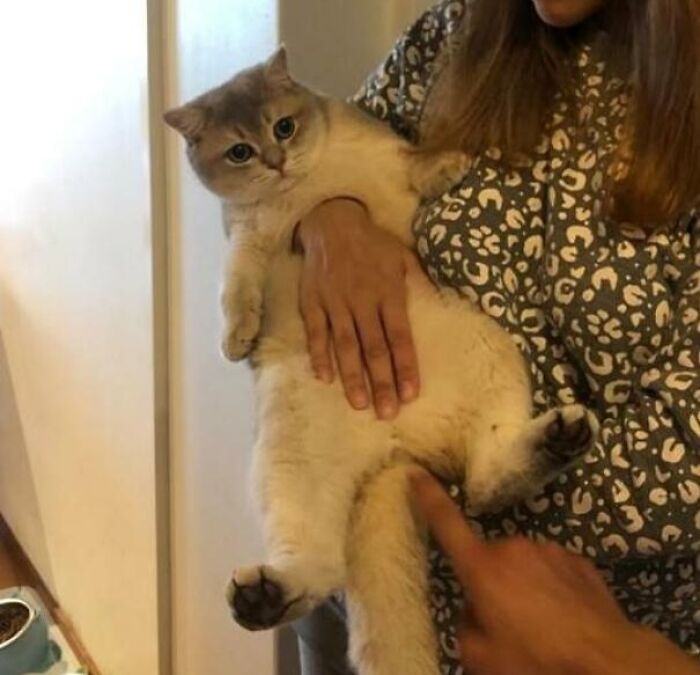 50 Accidental Optical Illusions People Captured On Their Cameras 50 Accidental Optical Illusions People Captured On Their Cameras