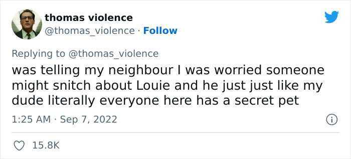 Man Finds Out Everyone In His Apartment Building Has A Cat Even Though It’s Not Allowed, People Are Sharing Their Pet Hiding Stories Man Finds Out Everyone In His Apartment Building Has A Cat Even Though It’s Not Allowed, People Are Sharing Their Pet Hiding Stories