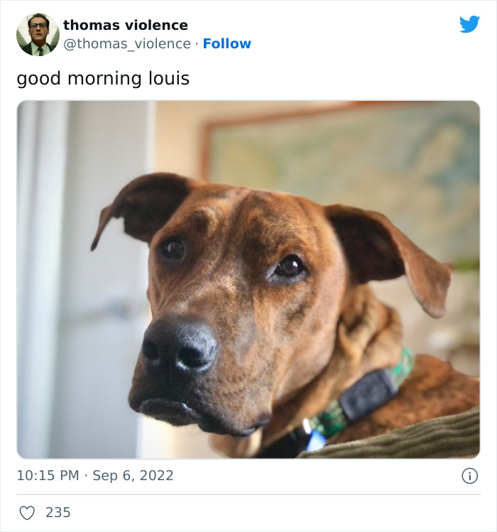 Man Finds Out Everyone In His Apartment Building Has A Cat Even Though It’s Not Allowed, People Are Sharing Their Pet Hiding Stories Man Finds Out Everyone In His Apartment Building Has A Cat Even Though It’s Not Allowed, People Are Sharing Their Pet Hiding Stories