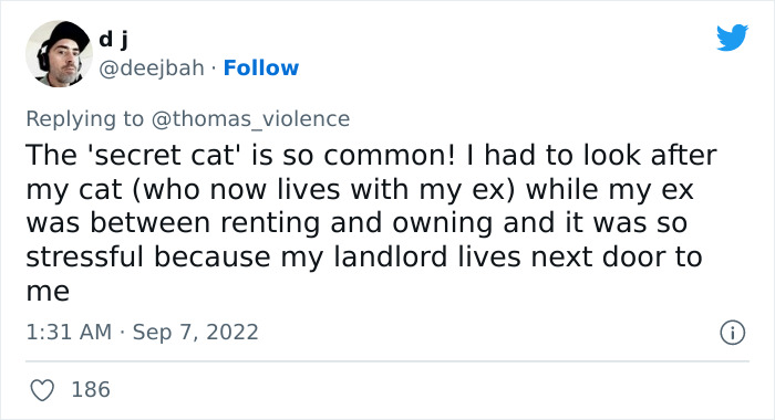 Man Finds Out Everyone In His Apartment Building Has A Cat Even Though It’s Not Allowed, People Are Sharing Their Pet Hiding Stories Man Finds Out Everyone In His Apartment Building Has A Cat Even Though It’s Not Allowed, People Are Sharing Their Pet Hiding Stories