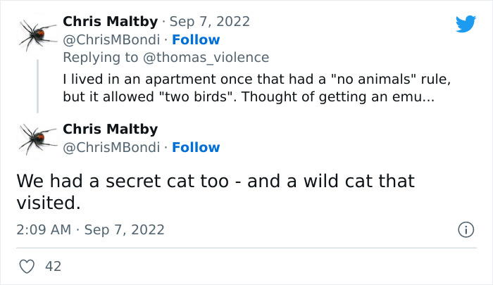 Man Finds Out Everyone In His Apartment Building Has A Cat Even Though It’s Not Allowed, People Are Sharing Their Pet Hiding Stories Man Finds Out Everyone In His Apartment Building Has A Cat Even Though It’s Not Allowed, People Are Sharing Their Pet Hiding Stories