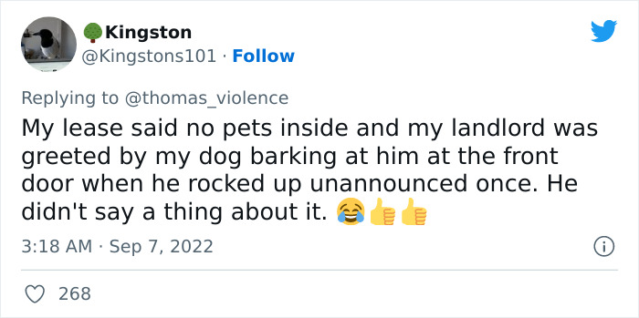 Man Finds Out Everyone In His Apartment Building Has A Cat Even Though It’s Not Allowed, People Are Sharing Their Pet Hiding Stories Man Finds Out Everyone In His Apartment Building Has A Cat Even Though It’s Not Allowed, People Are Sharing Their Pet Hiding Stories