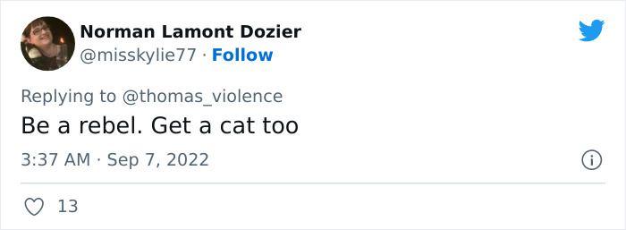 Man Finds Out Everyone In His Apartment Building Has A Cat Even Though It’s Not Allowed, People Are Sharing Their Pet Hiding Stories Man Finds Out Everyone In His Apartment Building Has A Cat Even Though It’s Not Allowed, People Are Sharing Their Pet Hiding Stories