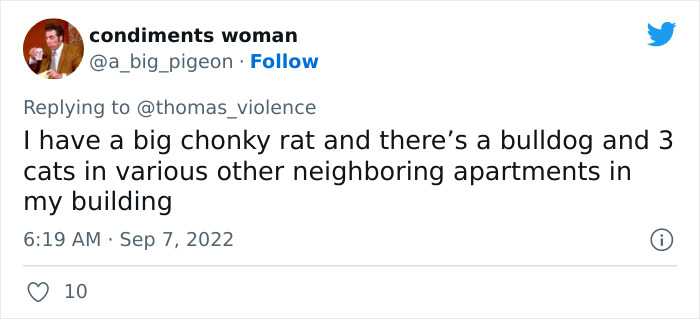 Man Finds Out Everyone In His Apartment Building Has A Cat Even Though It’s Not Allowed, People Are Sharing Their Pet Hiding Stories Man Finds Out Everyone In His Apartment Building Has A Cat Even Though It’s Not Allowed, People Are Sharing Their Pet Hiding Stories