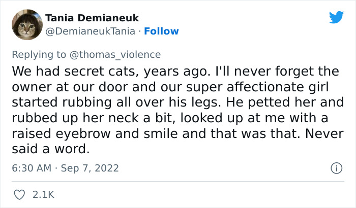 Man Finds Out Everyone In His Apartment Building Has A Cat Even Though It’s Not Allowed, People Are Sharing Their Pet Hiding Stories Man Finds Out Everyone In His Apartment Building Has A Cat Even Though It’s Not Allowed, People Are Sharing Their Pet Hiding Stories