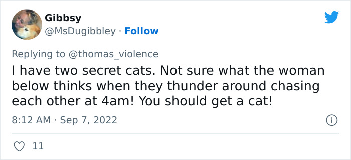 Man Finds Out Everyone In His Apartment Building Has A Cat Even Though It’s Not Allowed, People Are Sharing Their Pet Hiding Stories Man Finds Out Everyone In His Apartment Building Has A Cat Even Though It’s Not Allowed, People Are Sharing Their Pet Hiding Stories