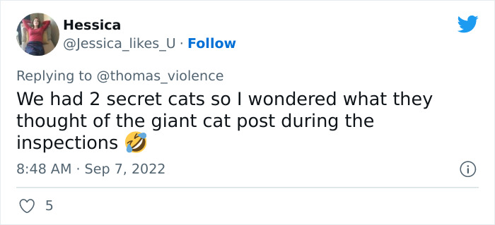 Man Finds Out Everyone In His Apartment Building Has A Cat Even Though It’s Not Allowed, People Are Sharing Their Pet Hiding Stories Man Finds Out Everyone In His Apartment Building Has A Cat Even Though It’s Not Allowed, People Are Sharing Their Pet Hiding Stories