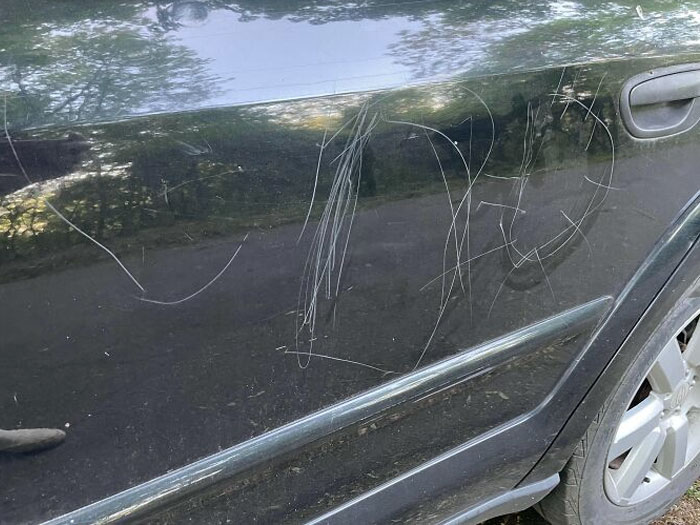 50 Jerk Neighbors Who Deserve The “Worst Neighbor Of The Year” Award 50 Jerk Neighbors Who Deserve The “Worst Neighbor Of The Year” Award