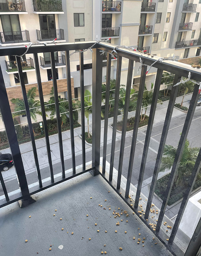 50 Jerk Neighbors Who Deserve The “Worst Neighbor Of The Year” Award 50 Jerk Neighbors Who Deserve The “Worst Neighbor Of The Year” Award