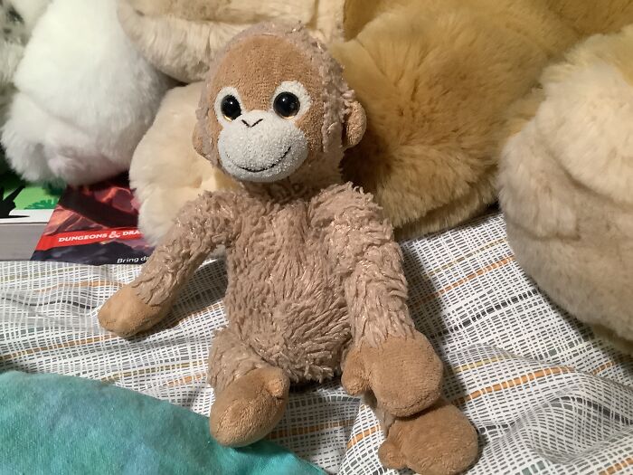 Hey Pandas, What Is The Oldest And The Most Important Plush You Own? (Closed) Hey Pandas, What Is The Oldest And The Most Important Plush You Own? (Closed)