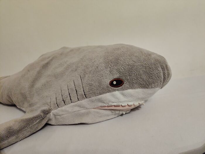 Hey Pandas, What Is The Oldest And The Most Important Plush You Own? (Closed) Hey Pandas, What Is The Oldest And The Most Important Plush You Own? (Closed)