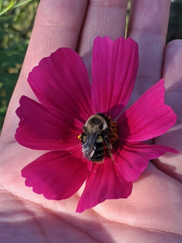 Some Of My Favorite Photos I Took In My Garden (23 Pics) Some Of My Favorite Photos I Took In My Garden (23 Pics)