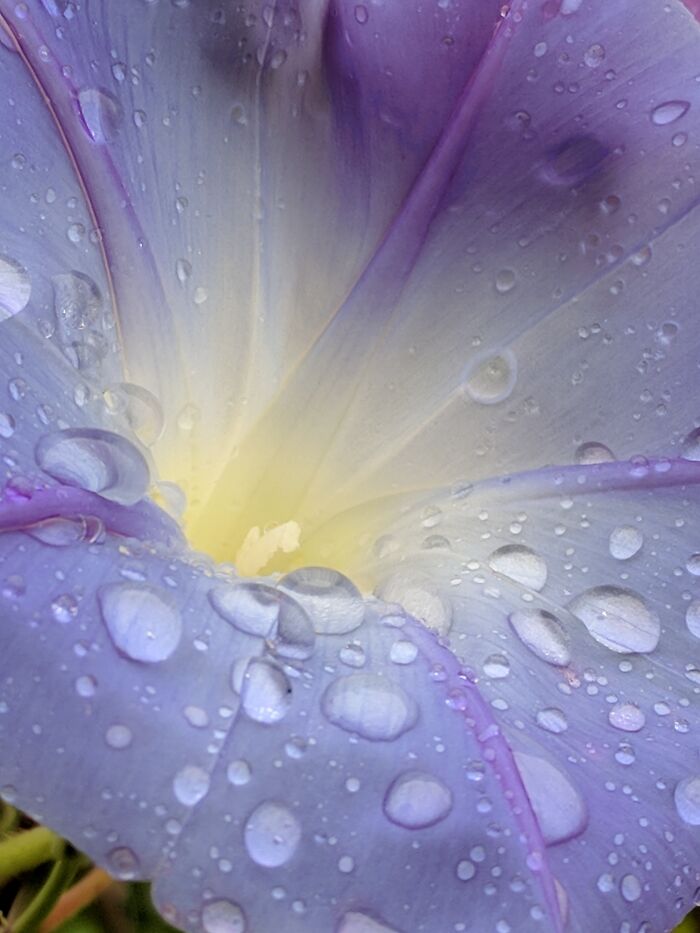 Some Of My Favorite Photos I Took In My Garden (23 Pics) Some Of My Favorite Photos I Took In My Garden (23 Pics)