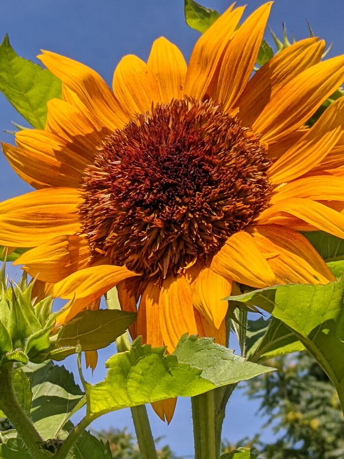 Some Of My Favorite Photos I Took In My Garden (23 Pics) Some Of My Favorite Photos I Took In My Garden (23 Pics)