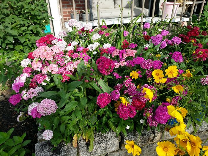 Some Of My Favorite Photos I Took In My Garden (23 Pics) Some Of My Favorite Photos I Took In My Garden (23 Pics)