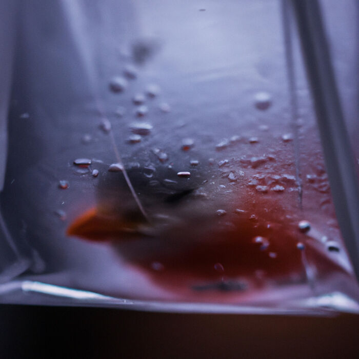 I Made These Pieces With AI To Raise Awareness About Environmental Damage (12 Pics) I Made These Pieces With AI To Raise Awareness About Environmental Damage (12 Pics)