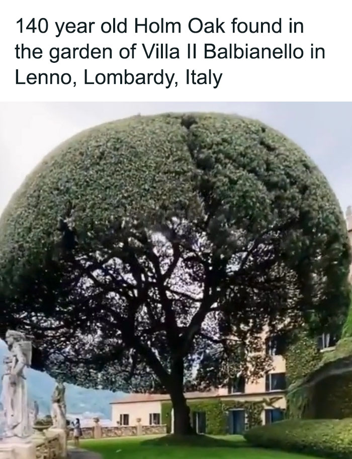 50 Of The Funniest And Most Accurate History Memes Shared By This Instagram Account (New Pics)