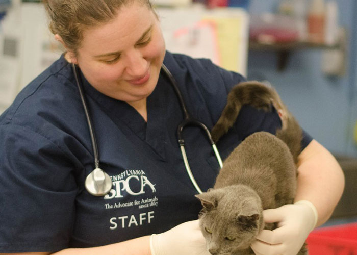 Senior Dog Returned To Shelter After 12 Years To Be Put Down Is Now Living Her Best Life After Vet Adopts Her Senior Dog Returned To Shelter After 12 Years To Be Put Down Is Now Living Her Best Life After Vet Adopts Her