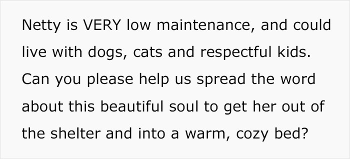 Senior Dog Returned To Shelter After 12 Years To Be Put Down Is Now Living Her Best Life After Vet Adopts Her Senior Dog Returned To Shelter After 12 Years To Be Put Down Is Now Living Her Best Life After Vet Adopts Her