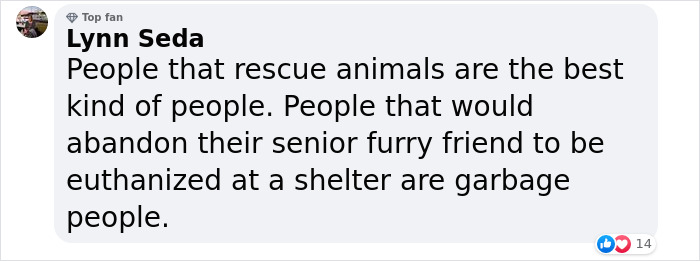 Senior Dog Returned To Shelter After 12 Years To Be Put Down Is Now Living Her Best Life After Vet Adopts Her Senior Dog Returned To Shelter After 12 Years To Be Put Down Is Now Living Her Best Life After Vet Adopts Her