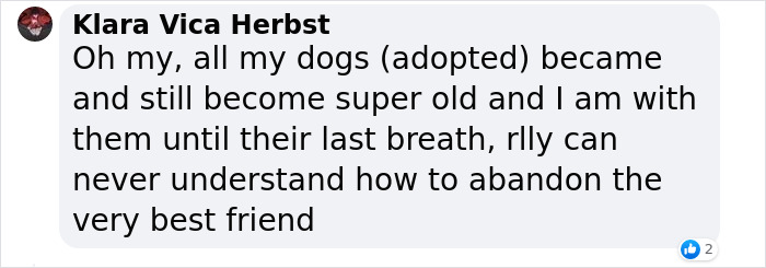Senior Dog Returned To Shelter After 12 Years To Be Put Down Is Now Living Her Best Life After Vet Adopts Her Senior Dog Returned To Shelter After 12 Years To Be Put Down Is Now Living Her Best Life After Vet Adopts Her